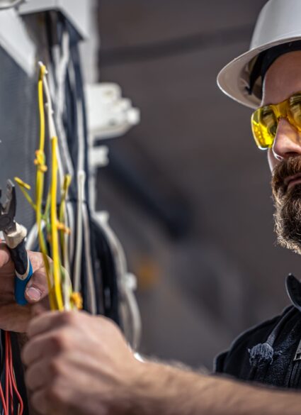 Electrical Panel Upgrade Cost in Florida